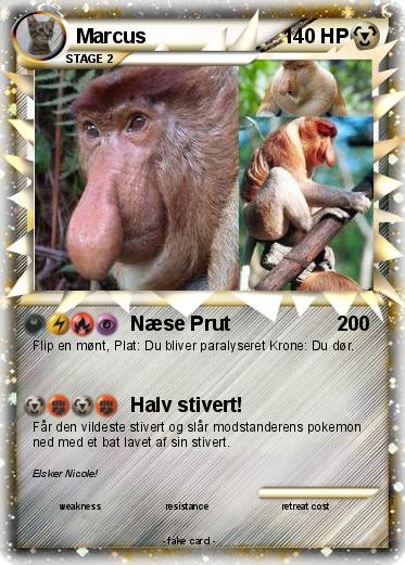 Pokemon Marcus