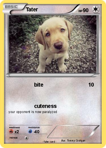 Pokemon Tater