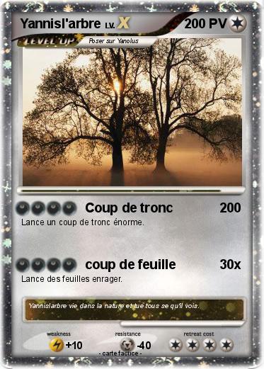 Pokemon Yannisl'arbre