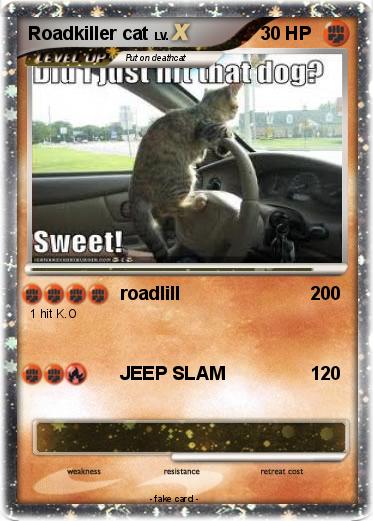 Pokemon Roadkiller cat