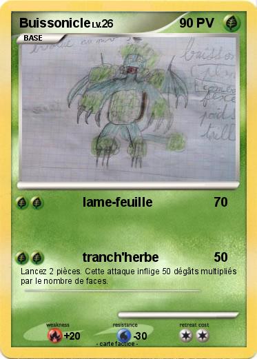 Pokemon Buissonicle