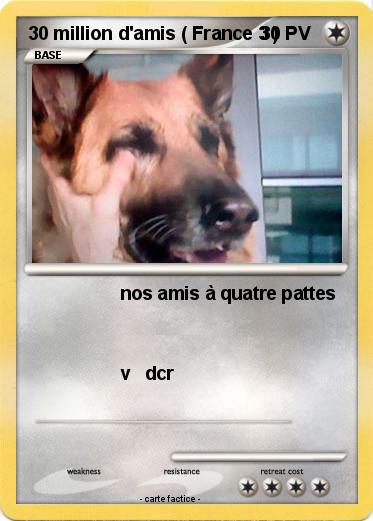 Pokemon 30 million d'amis ( France 3 )