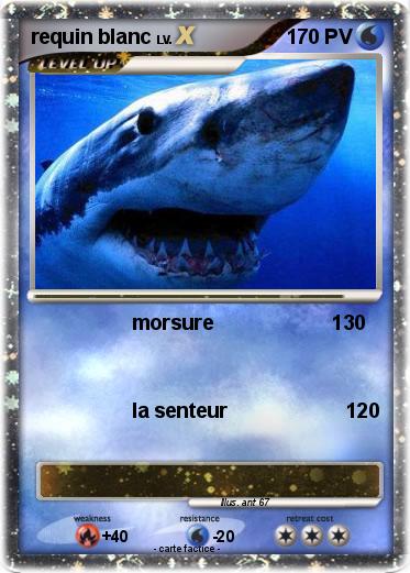 Pokemon requin blanc