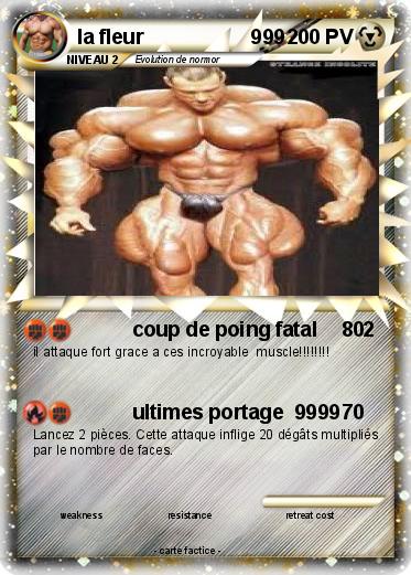 Pokemon la fleur                   999