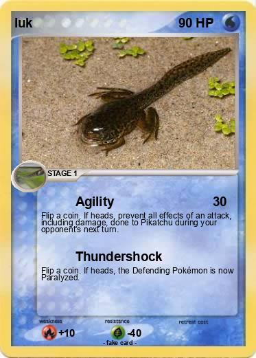 Pokemon luk