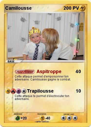 Pokemon Camilousse