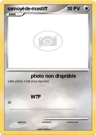 Pokemon samoyède-mastiff