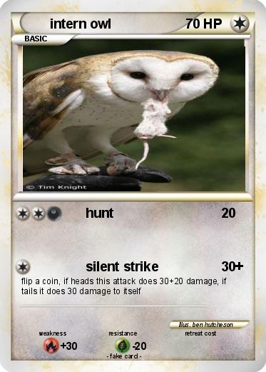 Pokemon intern owl