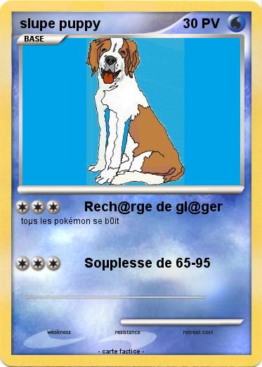 Pokemon slupe puppy