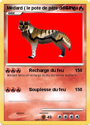 Pokemon Médard ( le pote de père de Ginga )