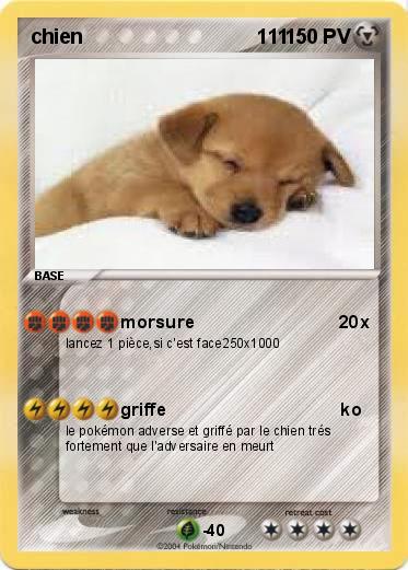 Pokemon chien                               111