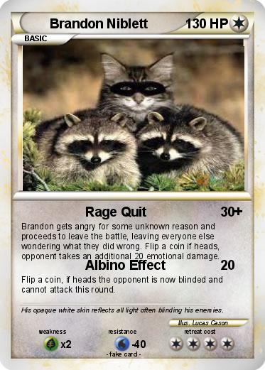 Pokemon Brandon Niblett