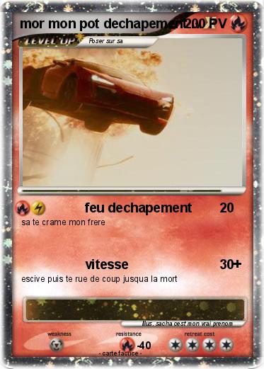 Pokemon mor mon pot dechapement