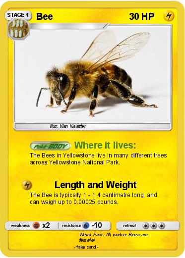 Pokemon Bee