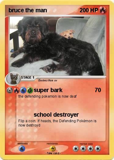 Pokemon bruce the man