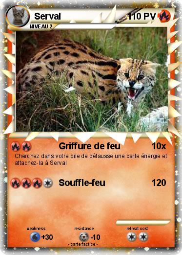 Pokemon Serval