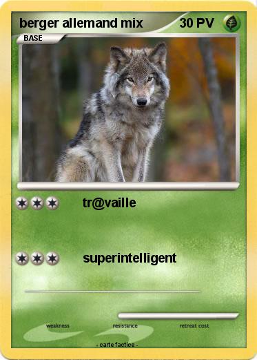 Pokemon berger allemand mix