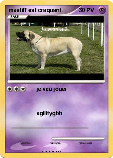 Pokemon mastiff est craquant