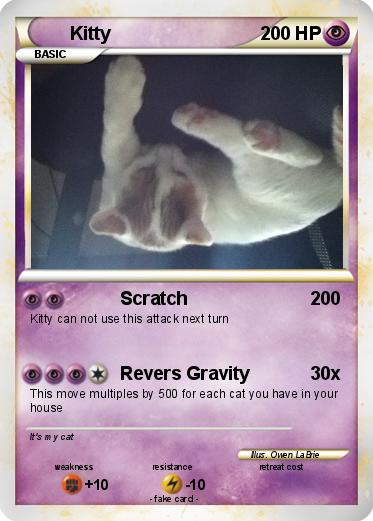 Pokemon Kitty