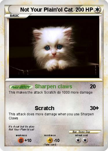 Pokemon Not Your Plain'ol Cat