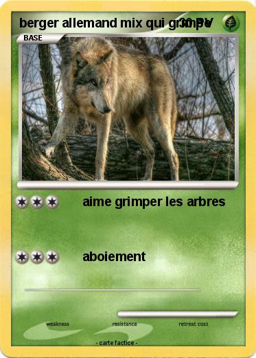 Pokemon berger allemand mix qui grimpe