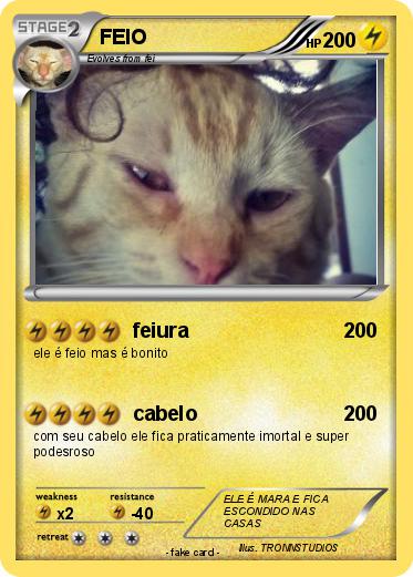 Pokemon FEIO