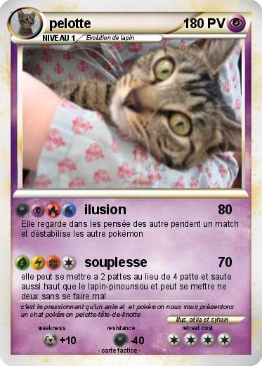 Pokemon pelotte