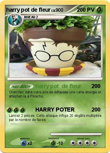 Pokemon harry pot de fleur