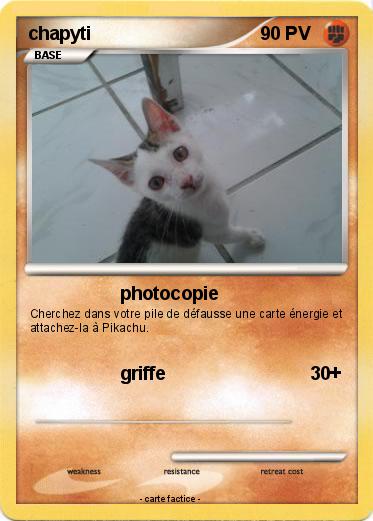 Pokemon chapyti