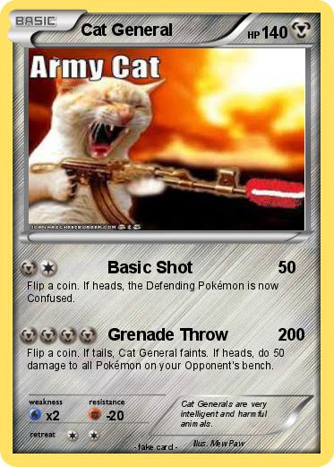 Pokemon Cat General