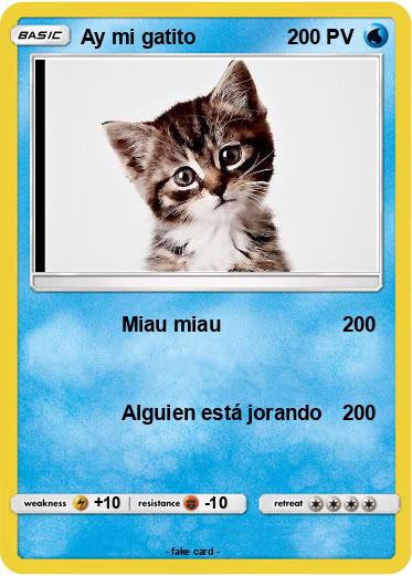 Pokemon Ay mi gatito