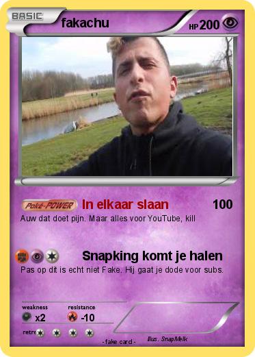 Pokemon fakachu