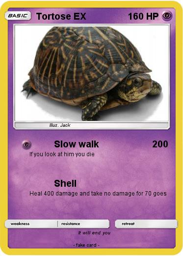 Pokemon Tortose EX