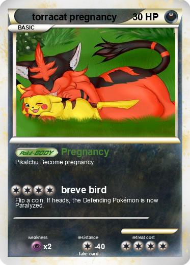 Pokemon torracat pregnancy