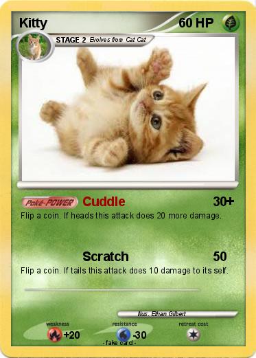 Pokemon Kitty