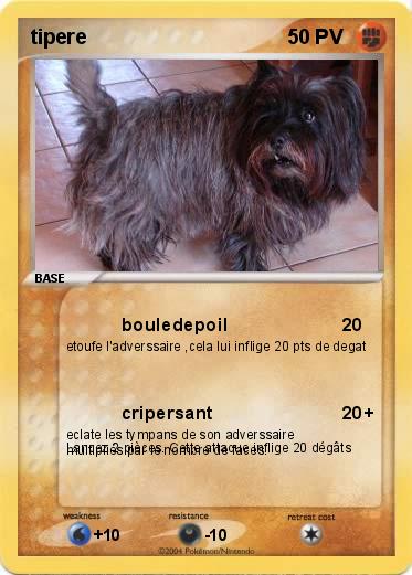 Pokemon tipere