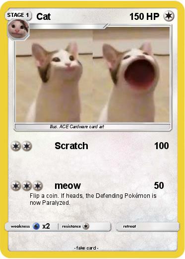 Pokemon Cat