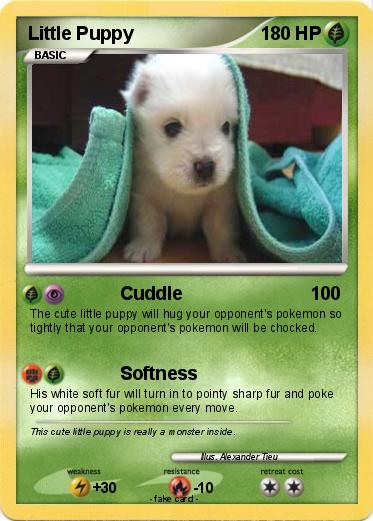 Pokemon Little Puppy
