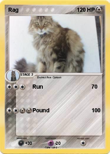 Pokemon Rag