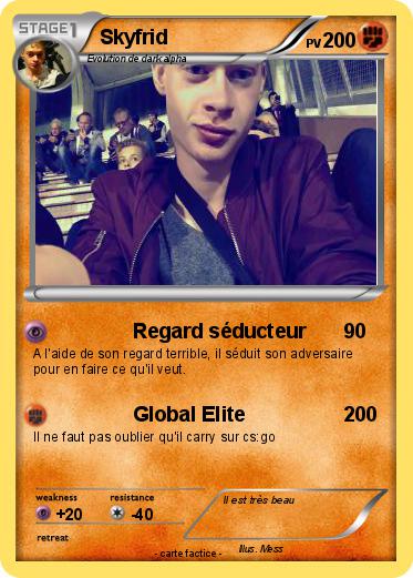 Pokemon Skyfrid