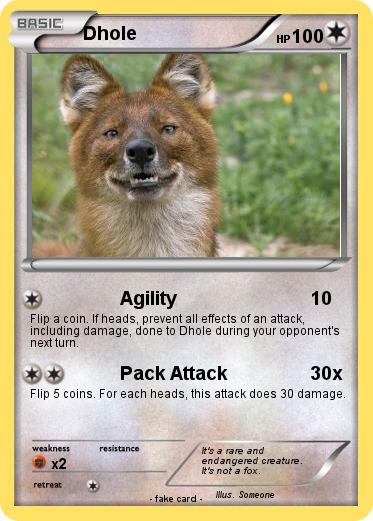 Pokemon Dhole