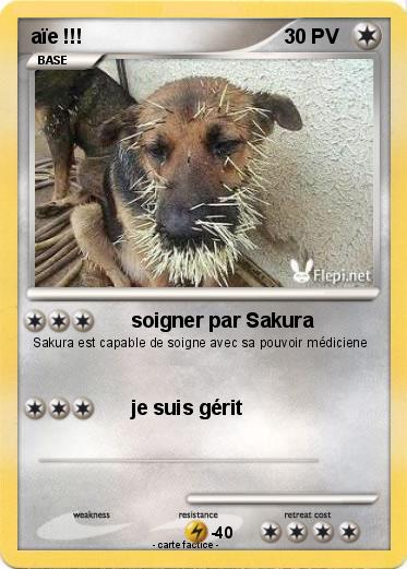 Pokemon aïe !!!