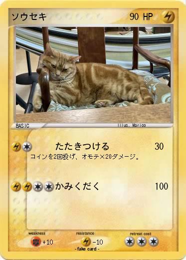 Pokemon ソウセキ