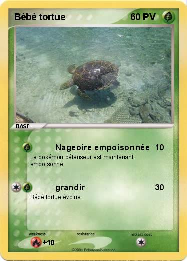 Pokemon Bébé tortue