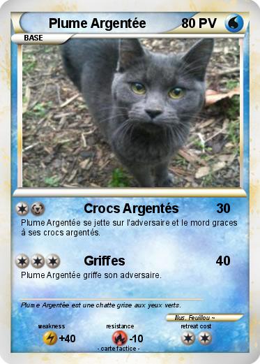 Pokemon Plume Argentée