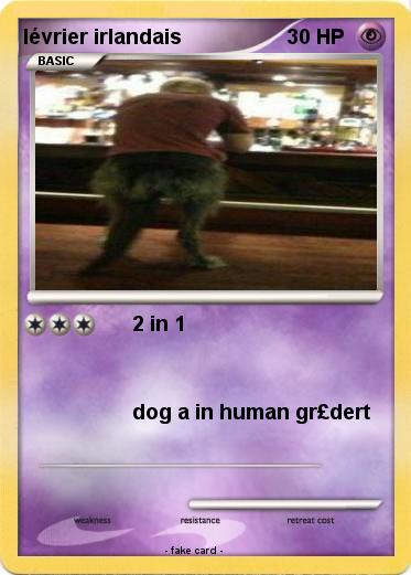 Pokemon lévrier irlandais
