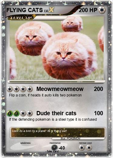Pokemon FLYING CATS
