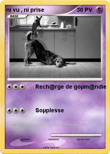 Pokemon ni vu , ni prise