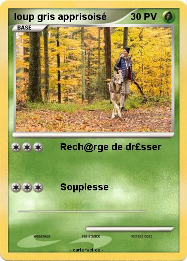 Pokemon loup gris apprisoisé