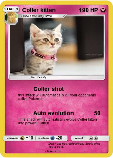 Pokemon Coller kitten